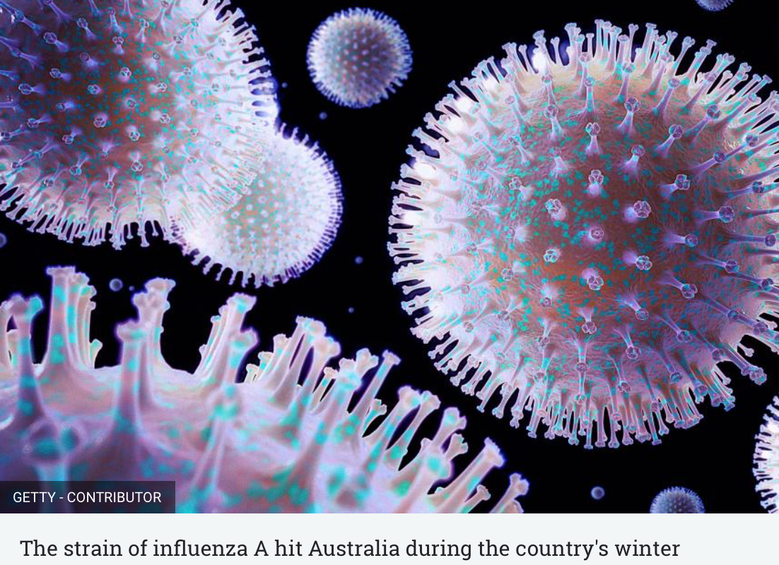 ক্রমবর্ধমান H3N2 ইনফ্লুয়েঞ্জা কার্যকলাপ: আপনার কী জানা দরকার এবং কীভাবে সুরক্ষিত থাকতে হবে